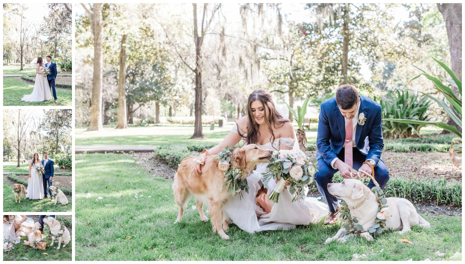 dog portraits with couple - the savannah elopement package