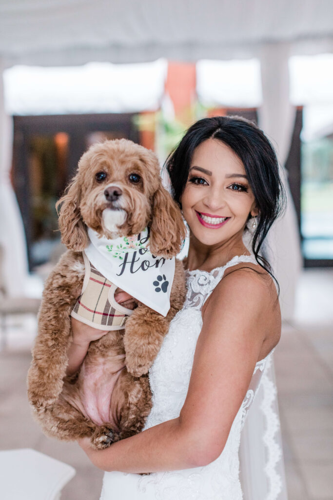 Dog at a Savannah elopement with the bride