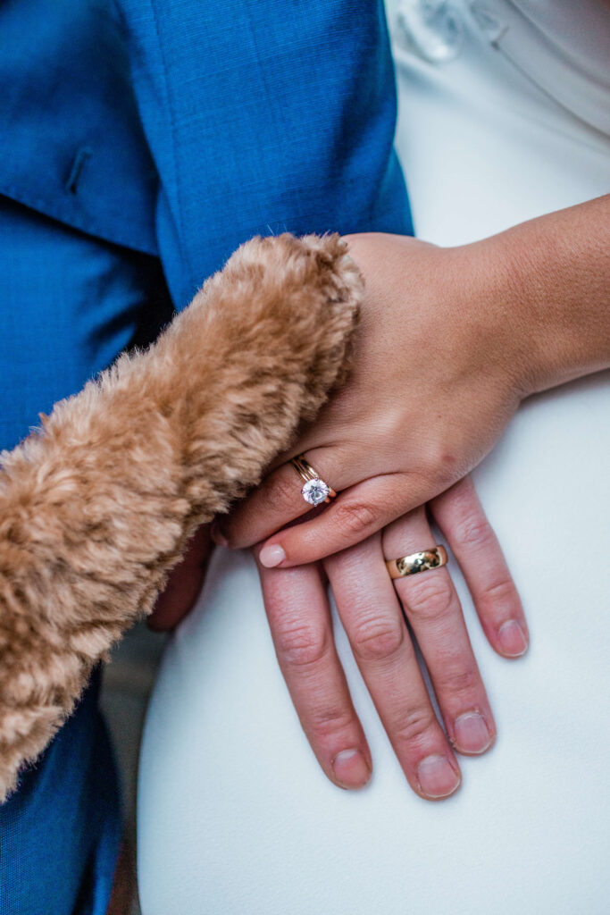 Cute dog at a wedding idea: Stack hands with rings and the dogs paw all together for a photo