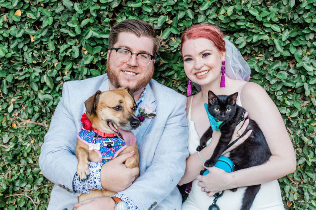 cat and dogs at a Savannah elopement