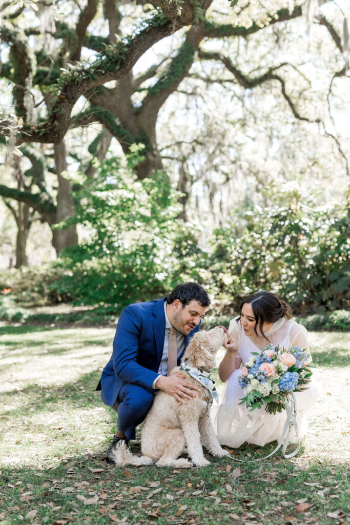 Can we have dogs at a Savannah elopement?