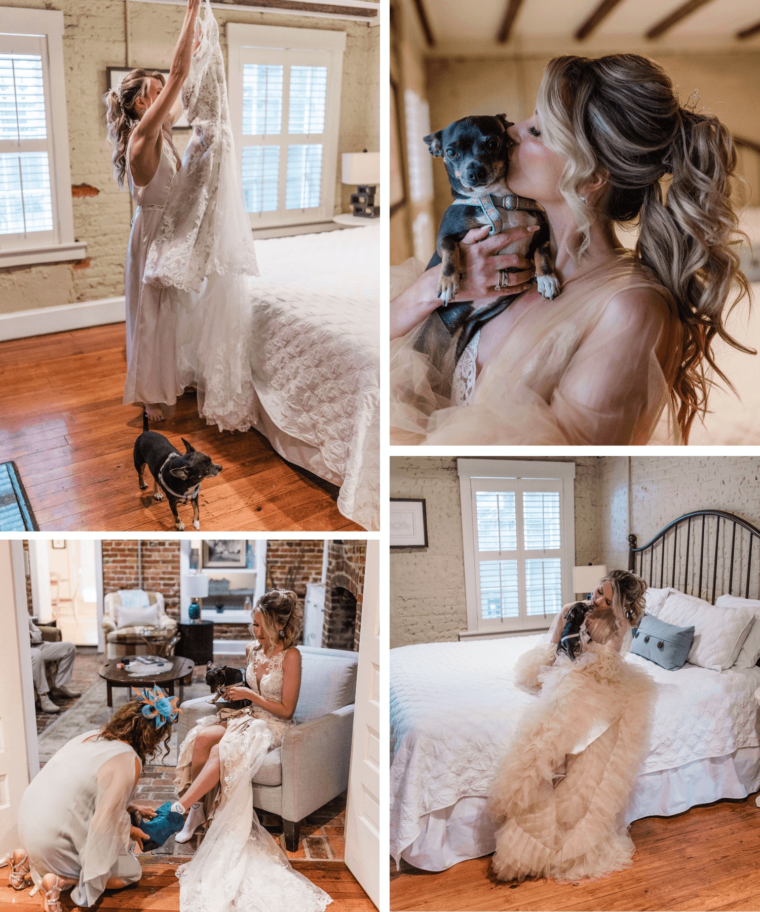 a little dog gets ready with a bride on her Savannah wedding day