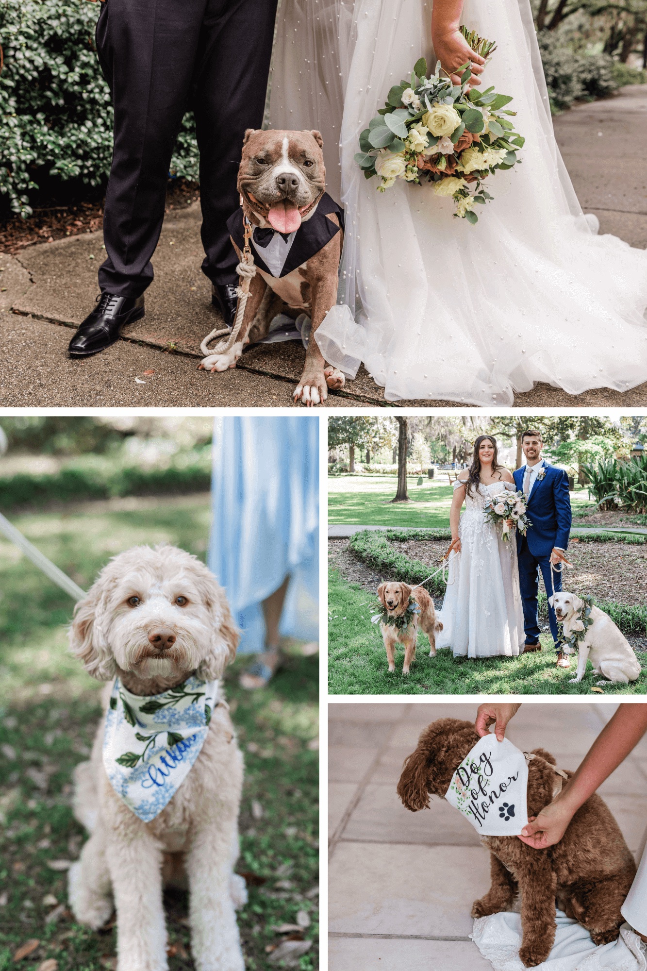 ideas for dogs at weddings